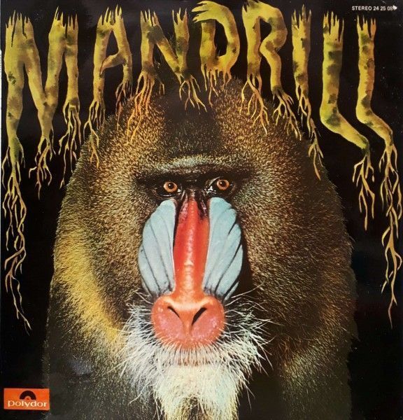 Mandrill
Funk vinyl record. More info at: funksoulrecords.com/en/vinyl-recor…

#vinylrecords #vinylcollectors #mandrill