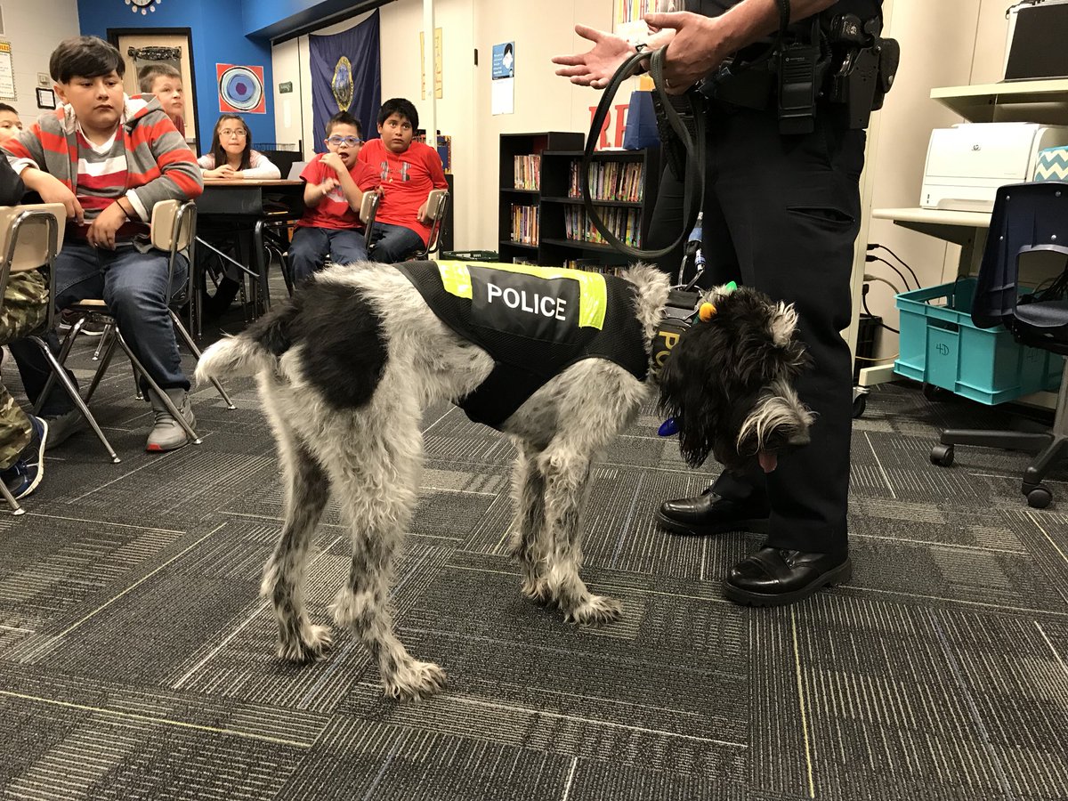 knight_4thgrade's tweet photo. Thank you Scout and @BoisePD for coming to Horizon Elementary! 🐶👮🏼👮🏽♀️ #BoisePD #BPD #BSDPride @HorizonBSD https://t.co/HwMfzZZxMo
