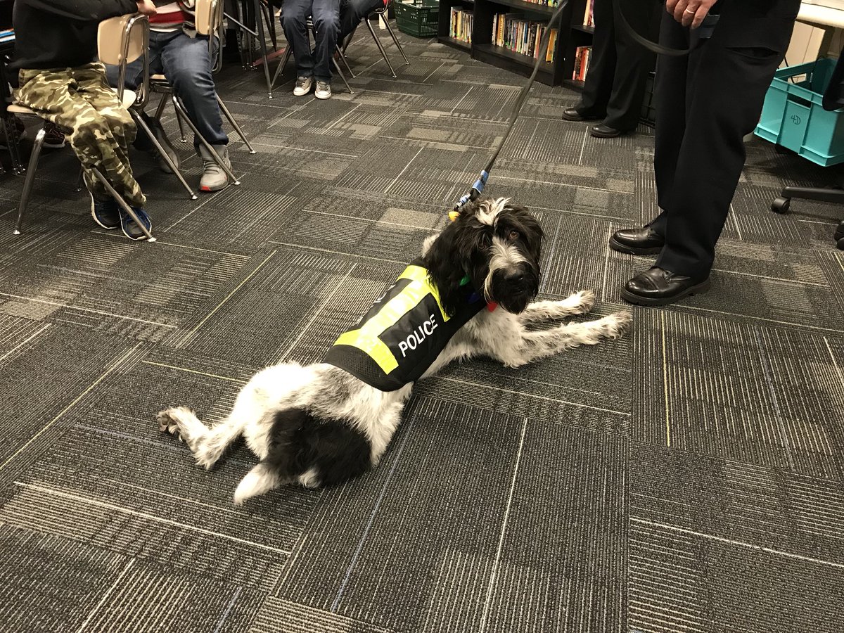 knight_4thgrade's tweet photo. Thank you Scout and @BoisePD for coming to Horizon Elementary! 🐶👮🏼👮🏽♀️ #BoisePD #BPD #BSDPride @HorizonBSD https://t.co/HwMfzZZxMo