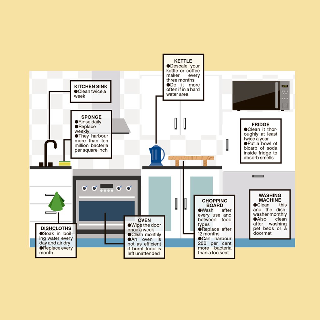TheSunGraphics's tweet photo. Wash and Throw. When's best to wash and when to chuck it out. https://t.co/R7876bFqdr #GoodHousekeeping advice #TheSunGraphics https://t.co/c5UhSXfHEK