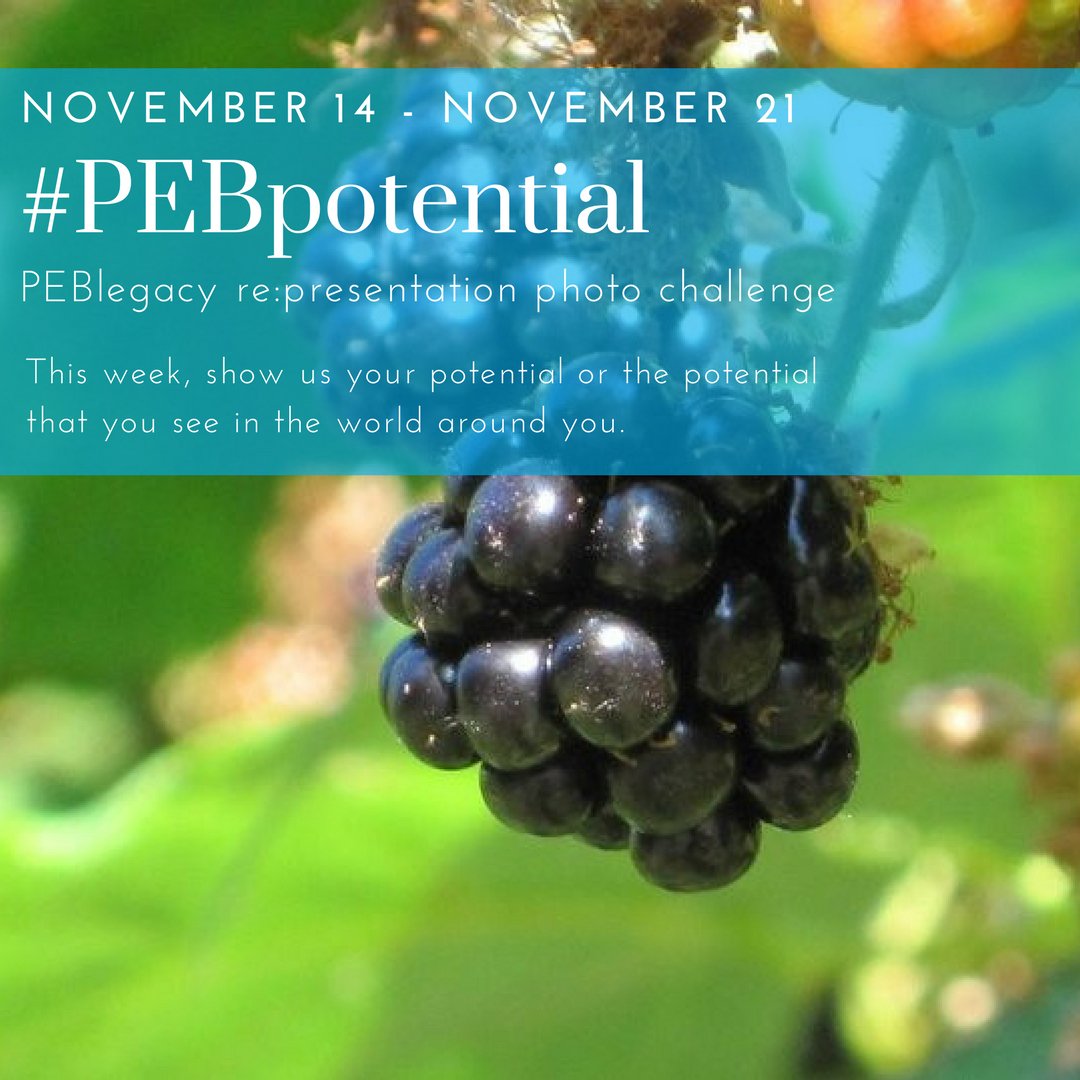 PRJEveryBody's tweet photo. #PEBlegacy re:presentation #PhotoChallenge continues with a new prompt! #PEBpotential. More info at https://t.co/krNB1A9JFB      #PEB17 #PEBYVR https://t.co/cJ3GEvjTXF