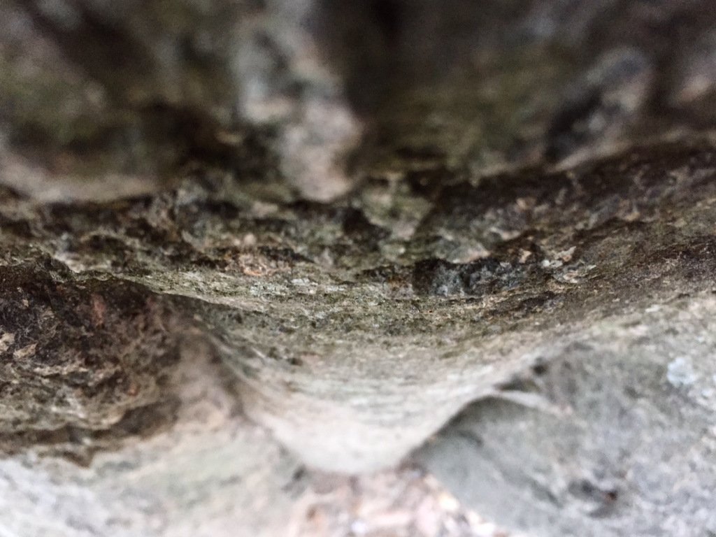 #Poesie #NuoviCantieriCulturaliIsolotto
#MappaturapoeticaIsolotto nellepieghedelcorpo.wordpress.com/2017/11/14/gli…