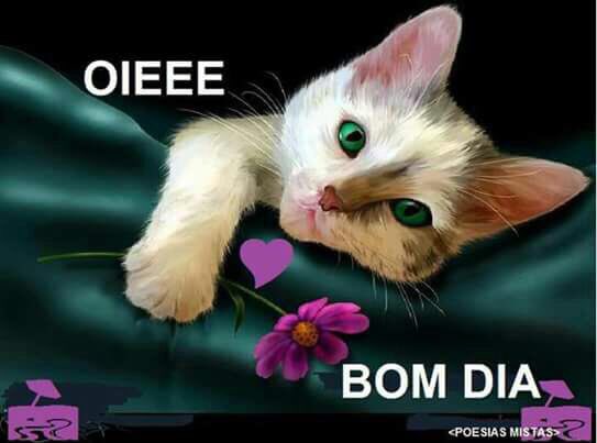 Bom Dia Brega on Twitter: Bom Dia Brega on Twitter: