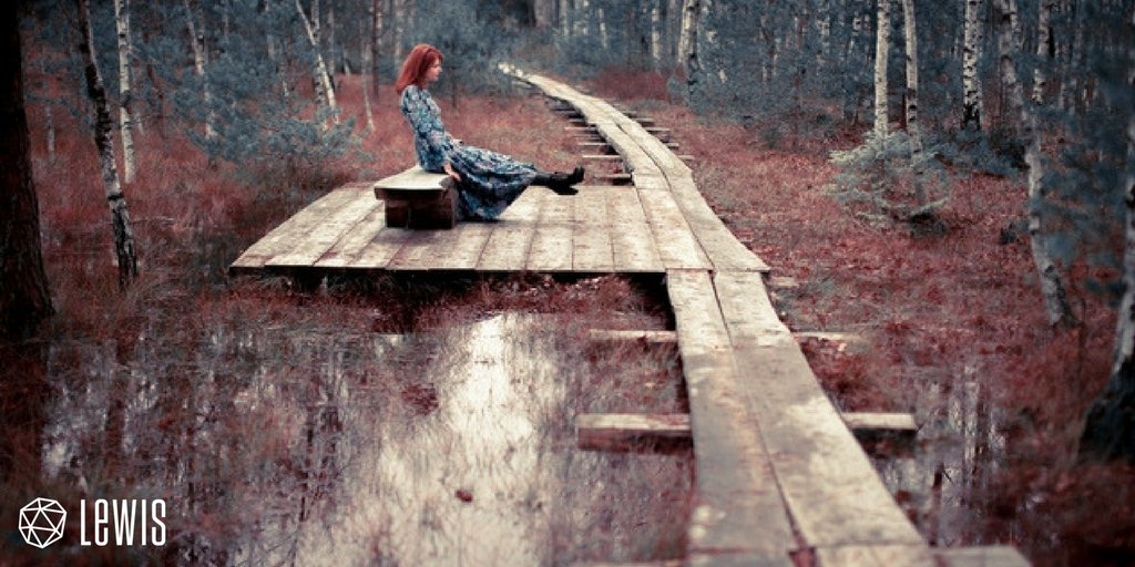 TEAM LEWIS tweet media