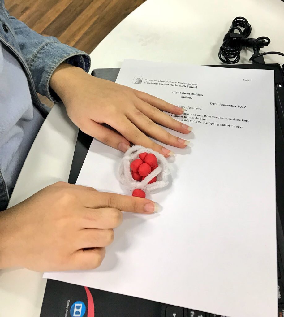 RoweidaB's tweet image. DP1 HL students discover the structure and significance of nucleosomes #modeling #ibbio #topic7 @monamajzoub @Hhhsinfo