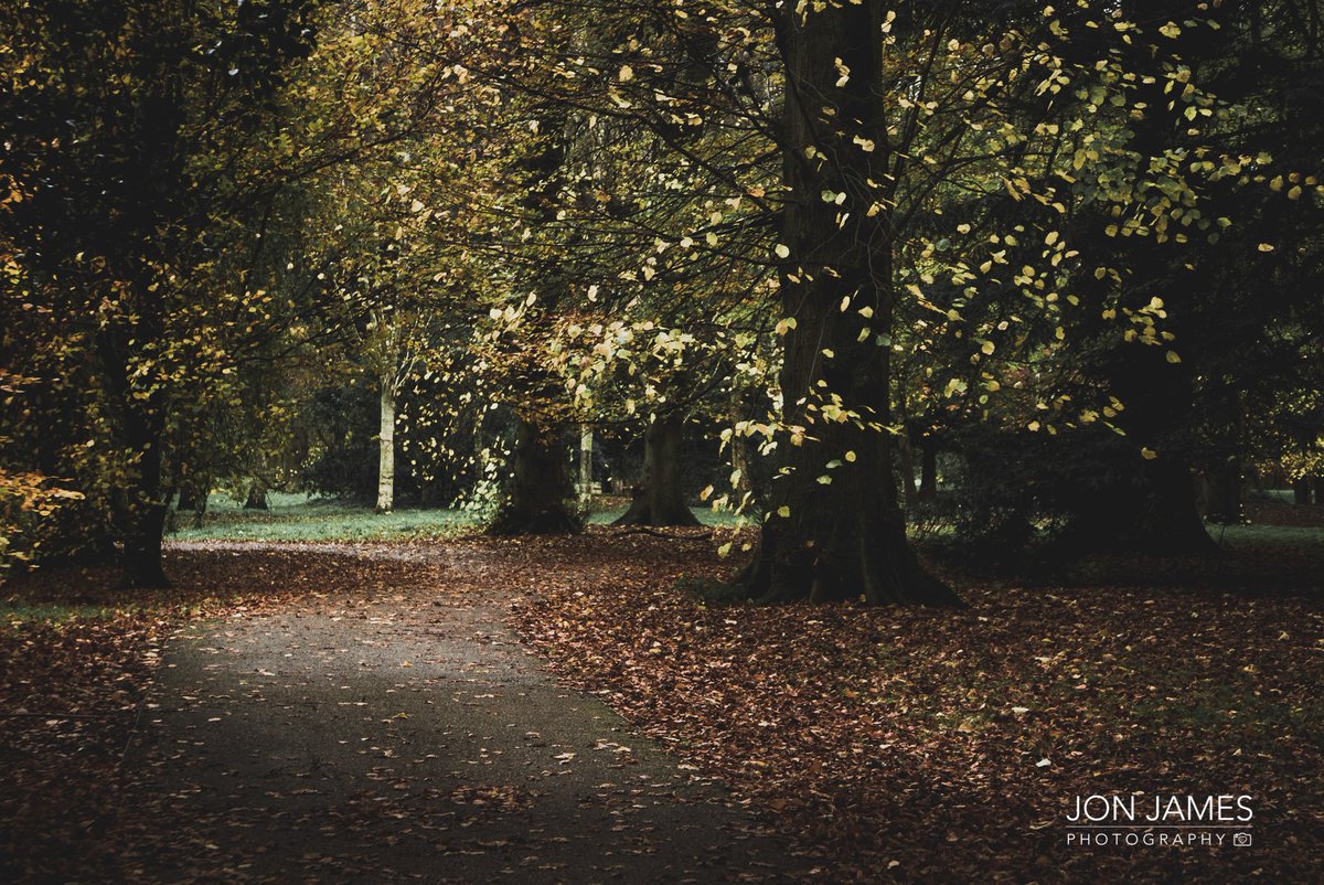 JonJamesPhotography 🏴󠁧󠁢󠁷󠁬󠁳󠁿 tweet media