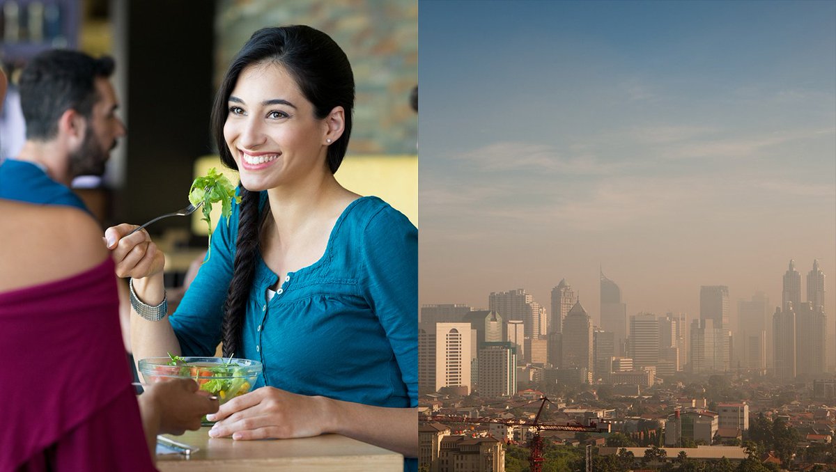 elmundotoday's tweet image. Los gases de los veganos podrían acabar con todo rastro de vida en treinta años buff.ly/2zXM2Jq