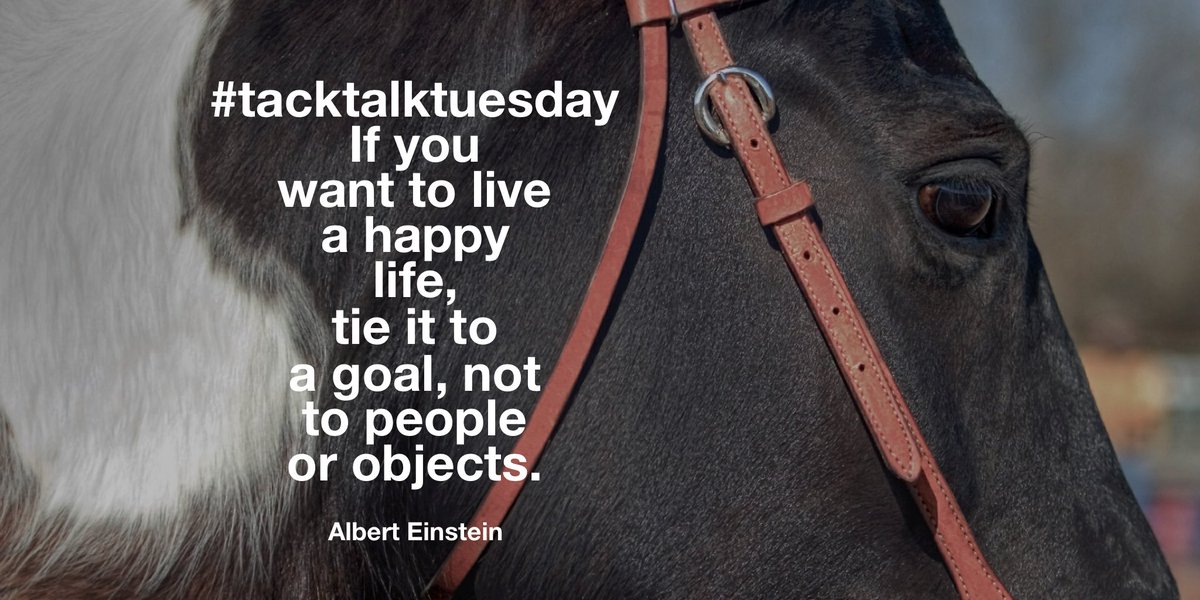 tacktalktuesday's tweet photo. It’s #tacktalktuesday 😁🐎 How is everyone tonight? How are you all coping with these dark nights? 🌑 https://t.co/FbYKQNHS5g