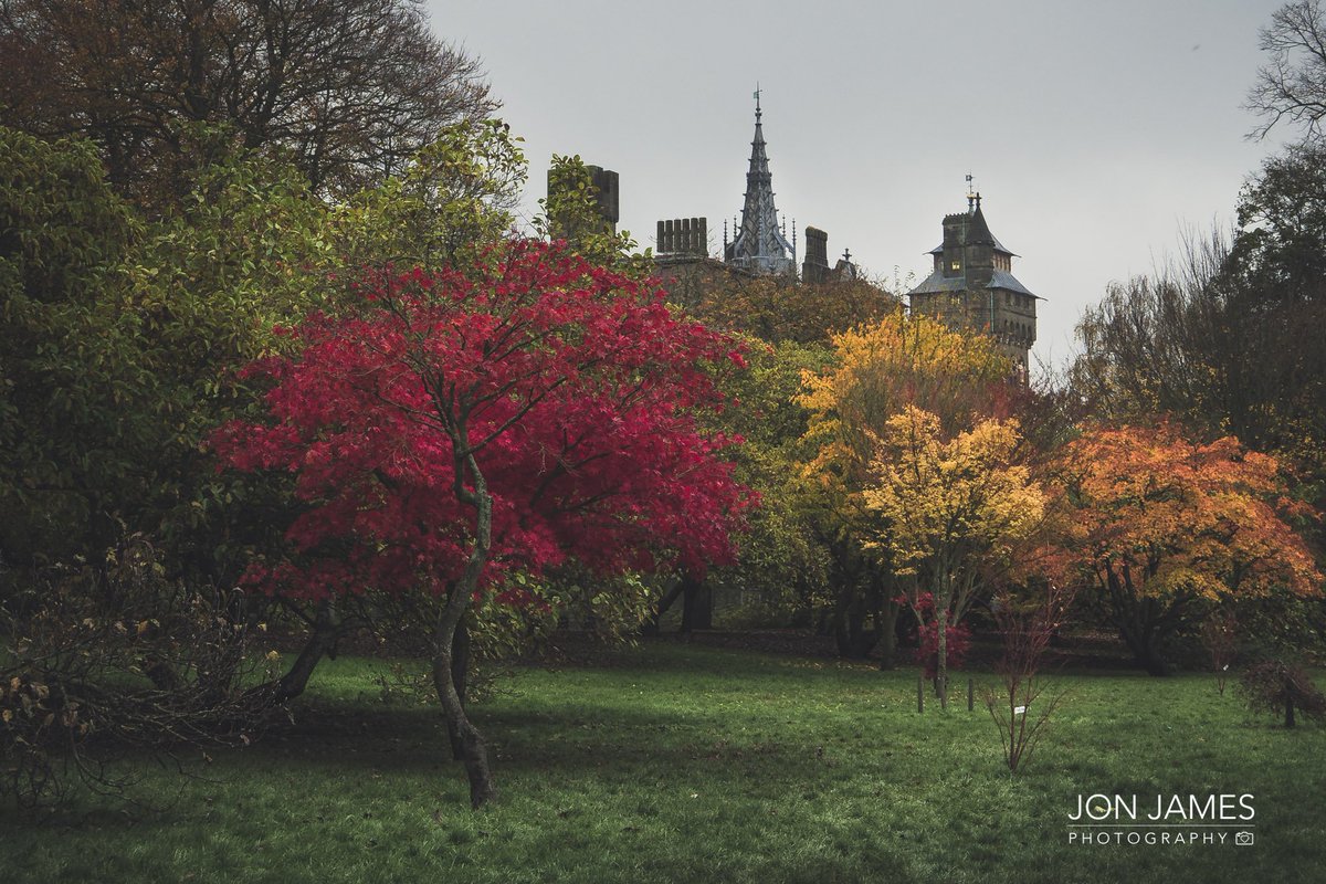 JonJamesPhotography 🏴󠁧󠁢󠁷󠁬󠁳󠁿 tweet media