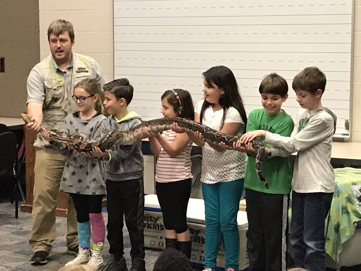 Mrs_LeeA's tweet photo. MG students earned their 1st all-school PBIS reward...Silly Safaris!!! @MapleGroveElem https://t.co/6lVvI2SUgQ