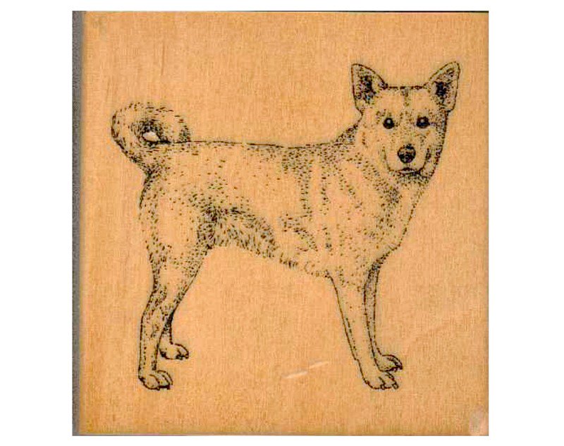 TinselWhiskers's tweet photo. #CanaanDog #CraftSupply #Destashing it now in my #Artyah shop: https://t.co/92Duo80rgV https://t.co/IFnWuOwi4T