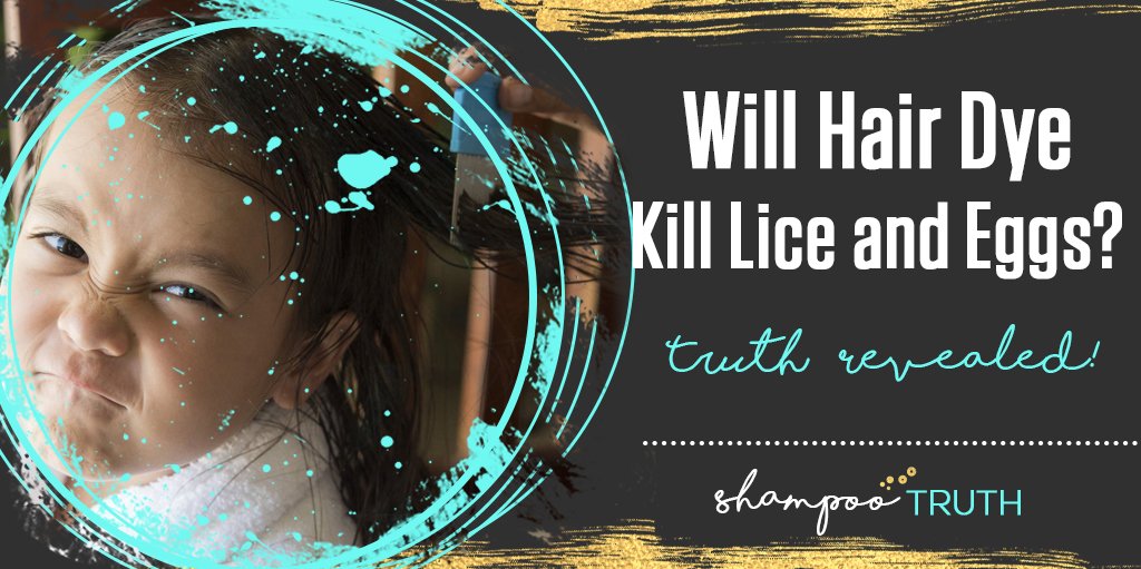 Will Hair Dye Kill Lice and Eggs? The Truth Revealed! shampootruth.com/will-hair-dye-… #hair #beauty #lice #hairdye