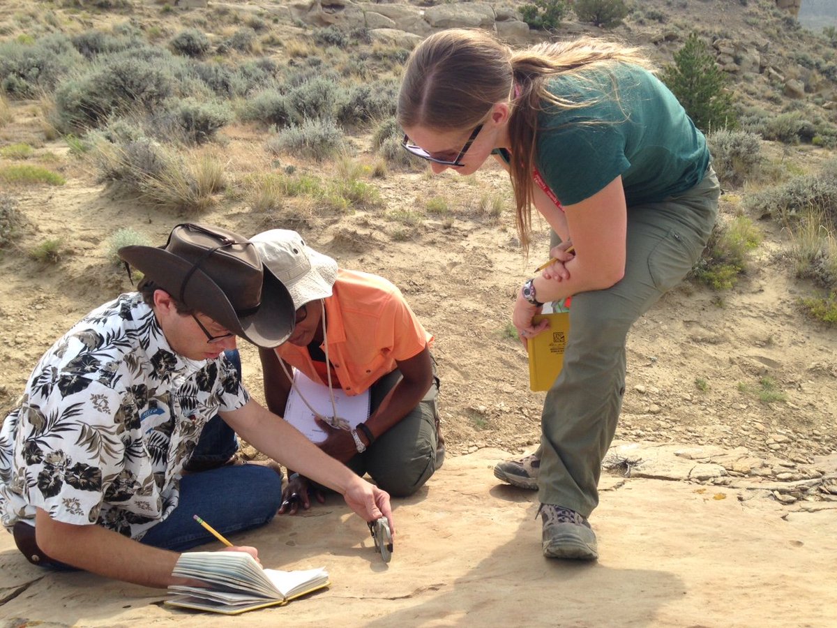 geosociety's tweet photo. Did you know that 48% of the geoscience workforce will be at or nearing retirement within the next decade? Join us on #GivingTuesday (11/28) to support emerging and aspiring future geoscientists! https://t.co/ktCLTUJawV https://t.co/LVG9RIdsqo