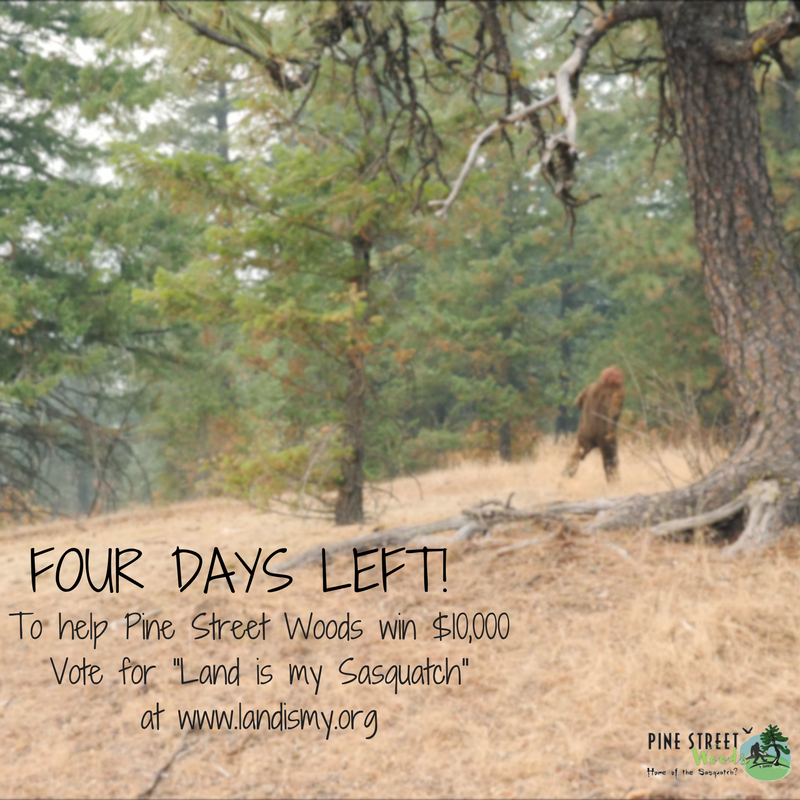 outside7B's tweet photo. Only 4 days left to vote for "Land is My Sasquatch" at https://t.co/4RO4j0IjiM #landismy #PineStreetWoods #savesasquatch https://t.co/lXFquNq0ex