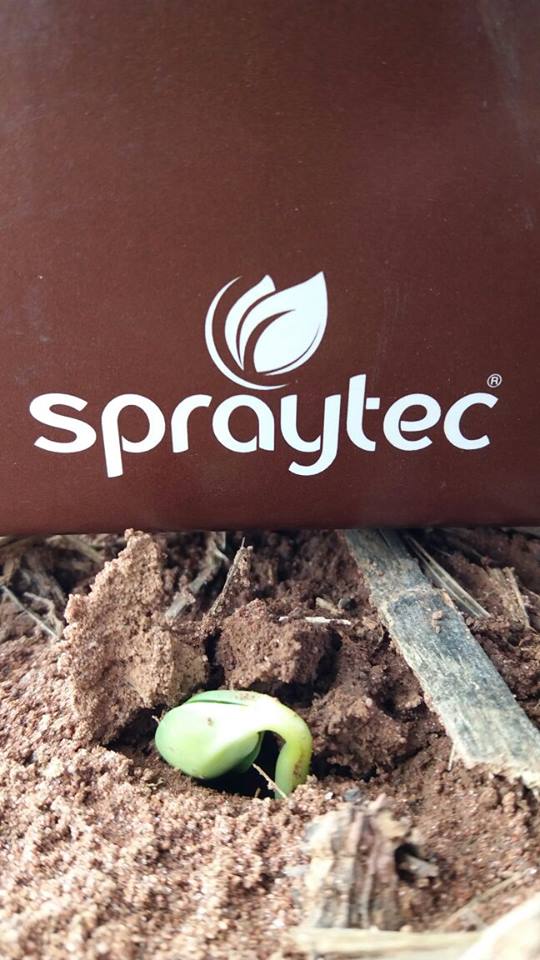 Spraytec Brasil tweet media