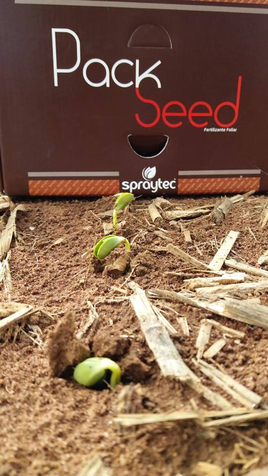 Spraytec Brasil tweet media