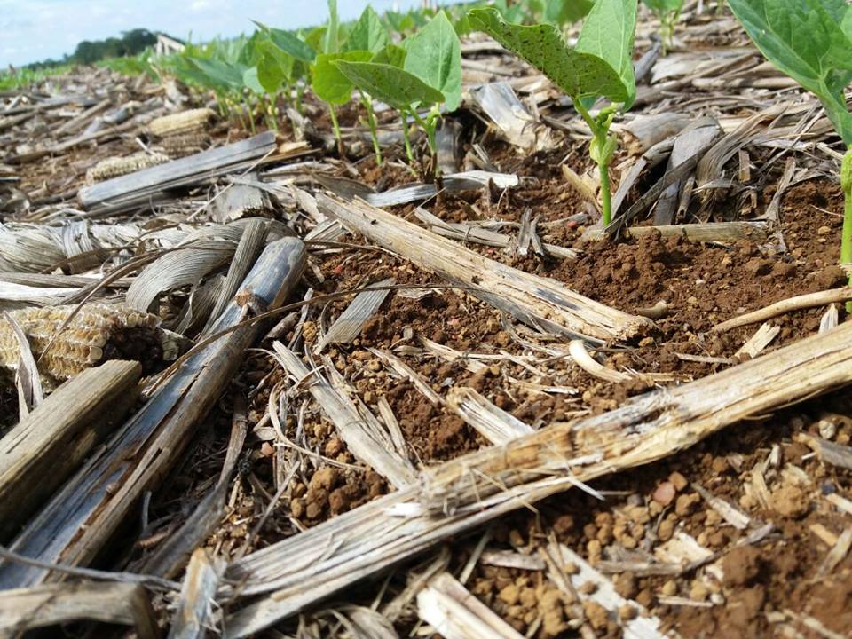 Spraytec Brasil tweet media