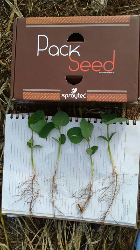 Spraytec Brasil tweet media