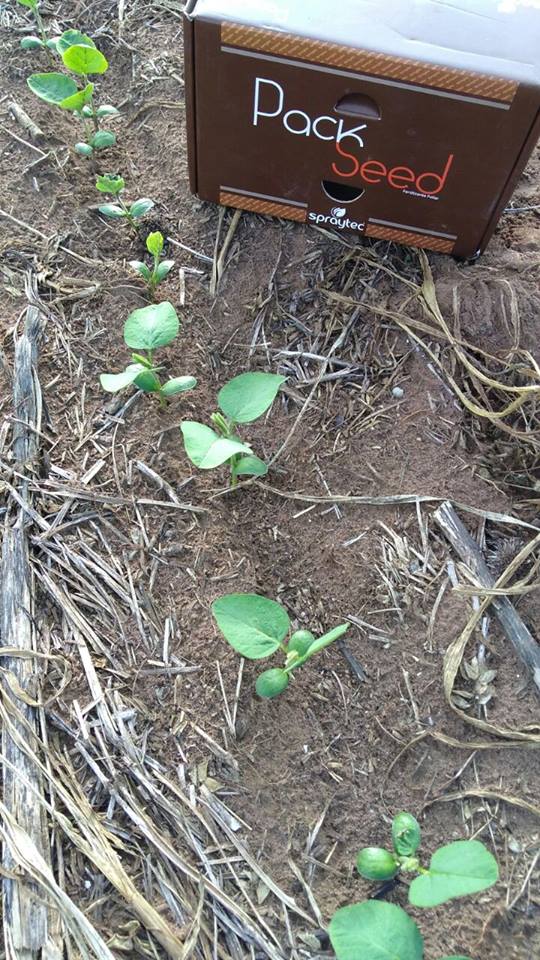 Spraytec Brasil tweet media