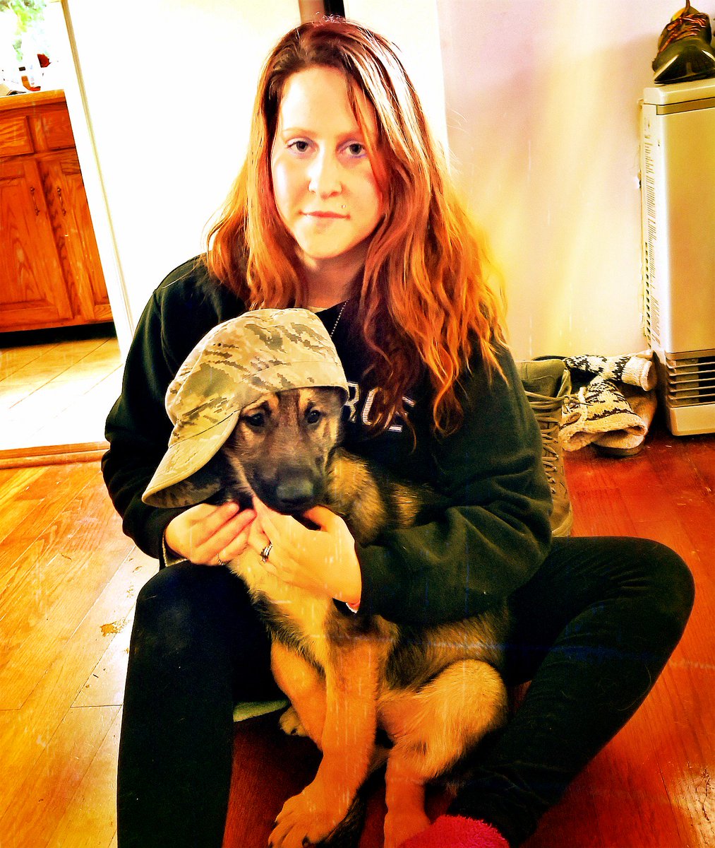 BlueeyedBoyce's tweet photo. #Puppies #lovethem #GermanShepherd #tayakyle #tayacadenceboyce $ love her https://t.co/GiyiHAzFHR