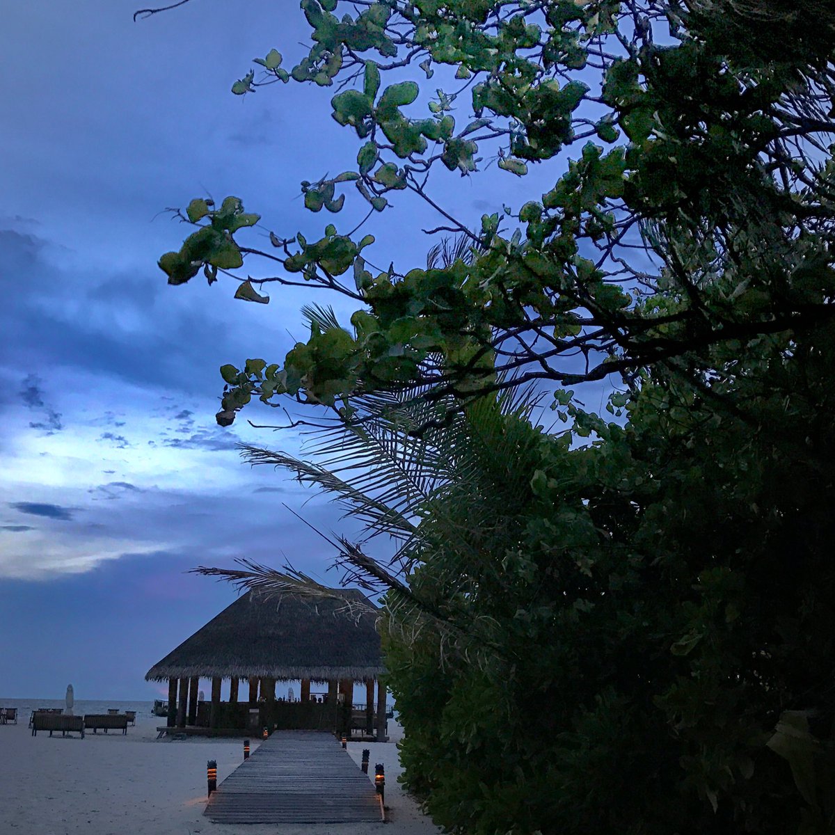 "للحبّ ألوان السِّـماء بعد الغُٰروب."🎶💜
28.aug.2017