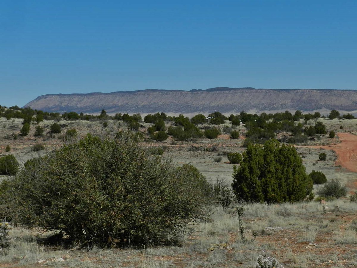 LandSourcePro's tweet image. 2.38 Acres for Sale! Yavapai County, AZ!! ONLY $3250!!
landsource.org/2.38-acres---3…