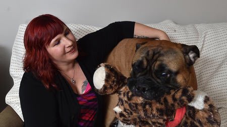 jennyfootsteps's tweet photo. I’m lovin’ #CasablancaWithPuppies here’s my puppy https://t.co/xHpqqPAgyc