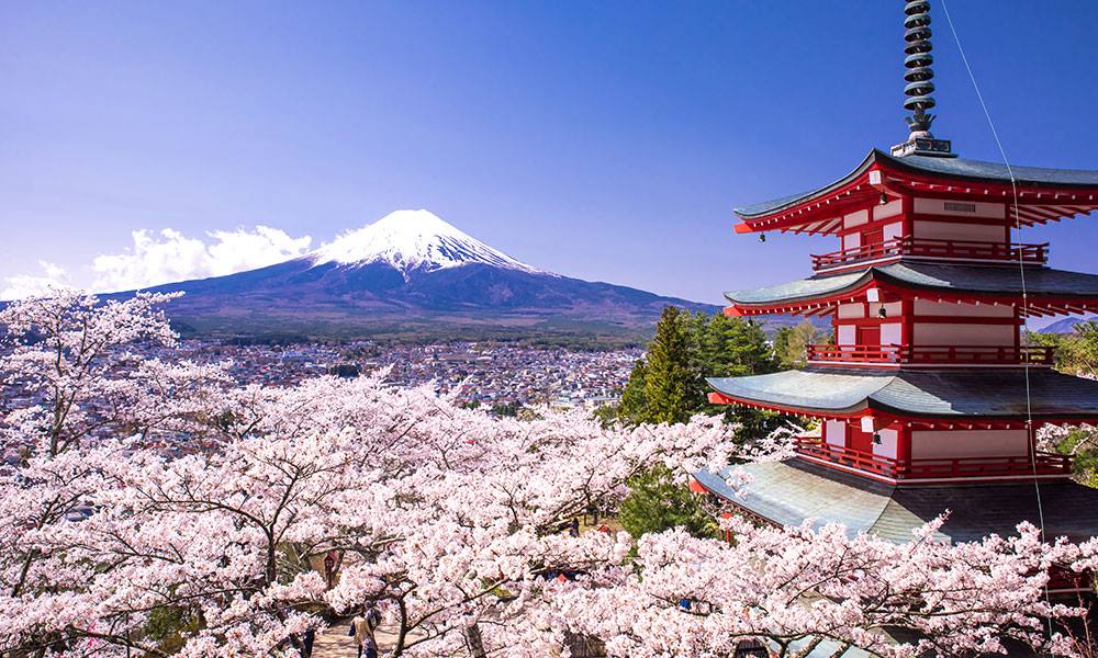Don't miss out on #InternationalCoffeeHour TODAY from 2-3 p.m. in the @MaddenLibrary Rm. 2206! Come listen as they discuss the amazing country of Japan! #GoDogs