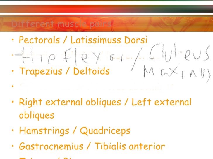 StPaulsRCHighPE's tweet image. Revision in a minute...... page 4 #musculoskeletalsystem @StPaulsRCHigh