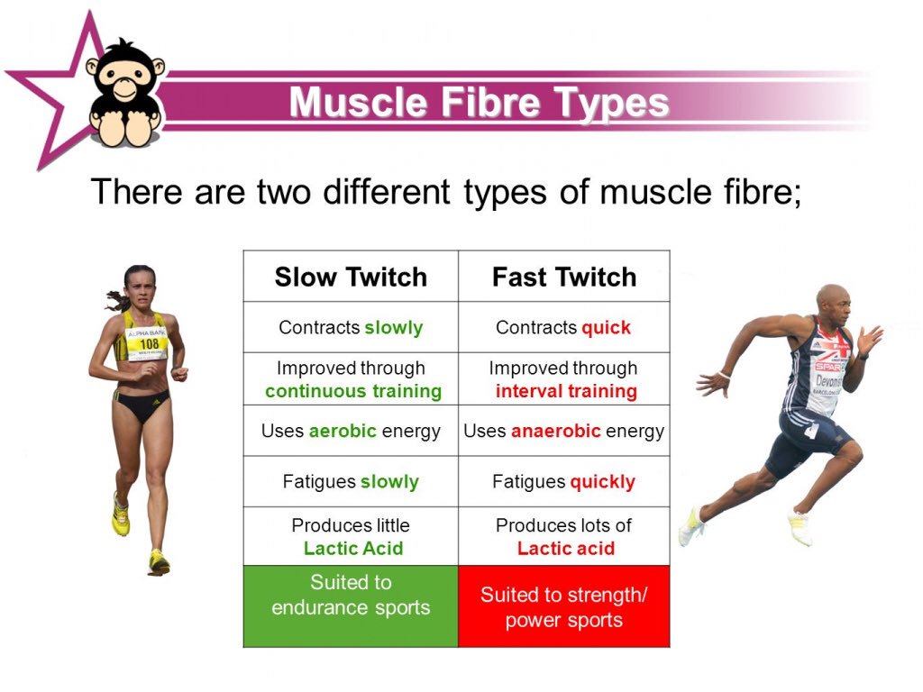StPaulsRCHighPE's tweet image. Revision in a minute...... page 5 #musculoskeletalsystem @StPaulsRCHigh