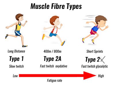 StPaulsRCHighPE's tweet image. Revision in a minute...... page 5 #musculoskeletalsystem @StPaulsRCHigh