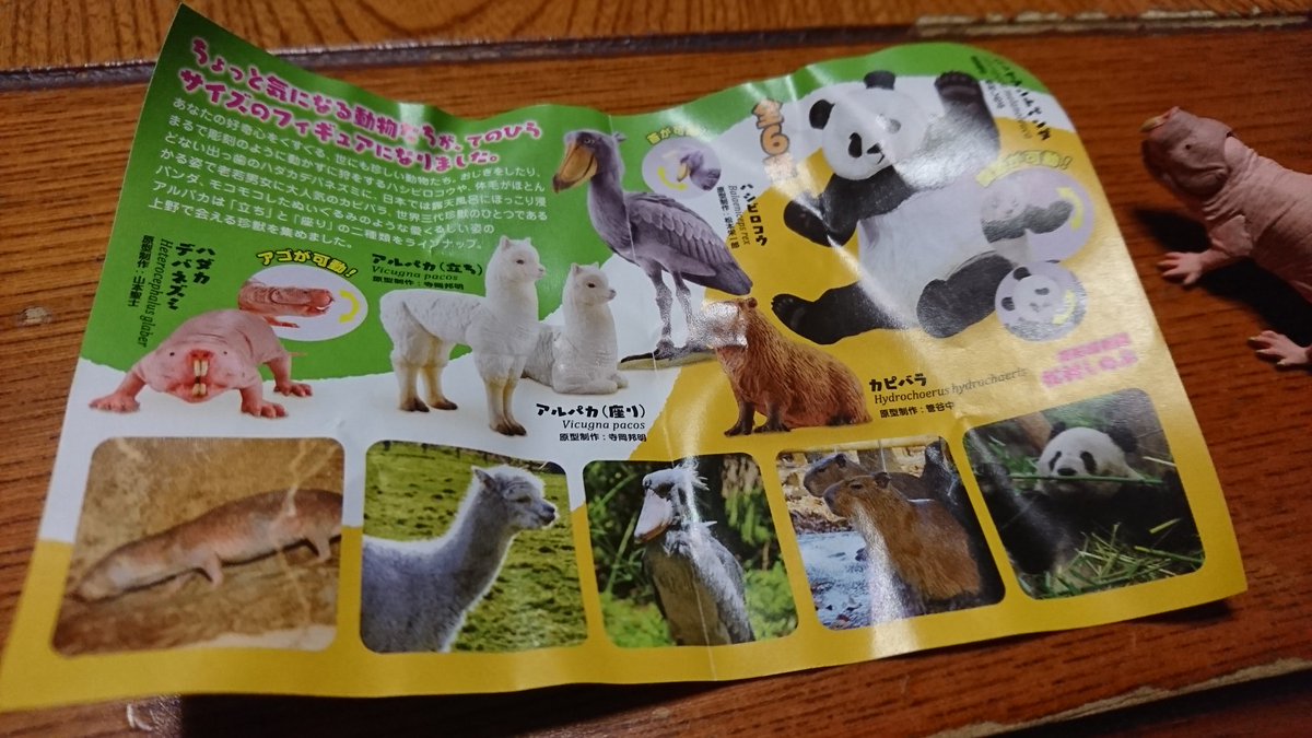 Etiqueta 上野珍獣動物園ガチャガチャ En Twitter Etiqueta 上野珍獣動物園ガチャガチャ En Twitter