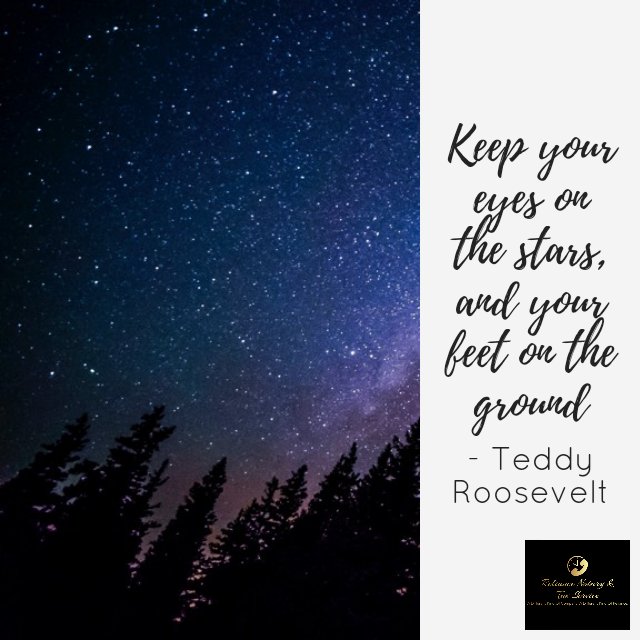 Reliance Notary & Tax Service Corp tweet media