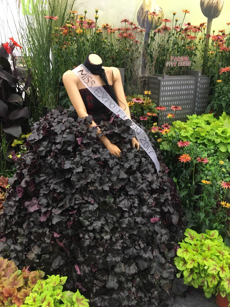 FIHOQ's tweet photo. Une miss FIHOQ 2017? Faites vos prédictions! #expofihoq https://t.co/d7geUWnDLO