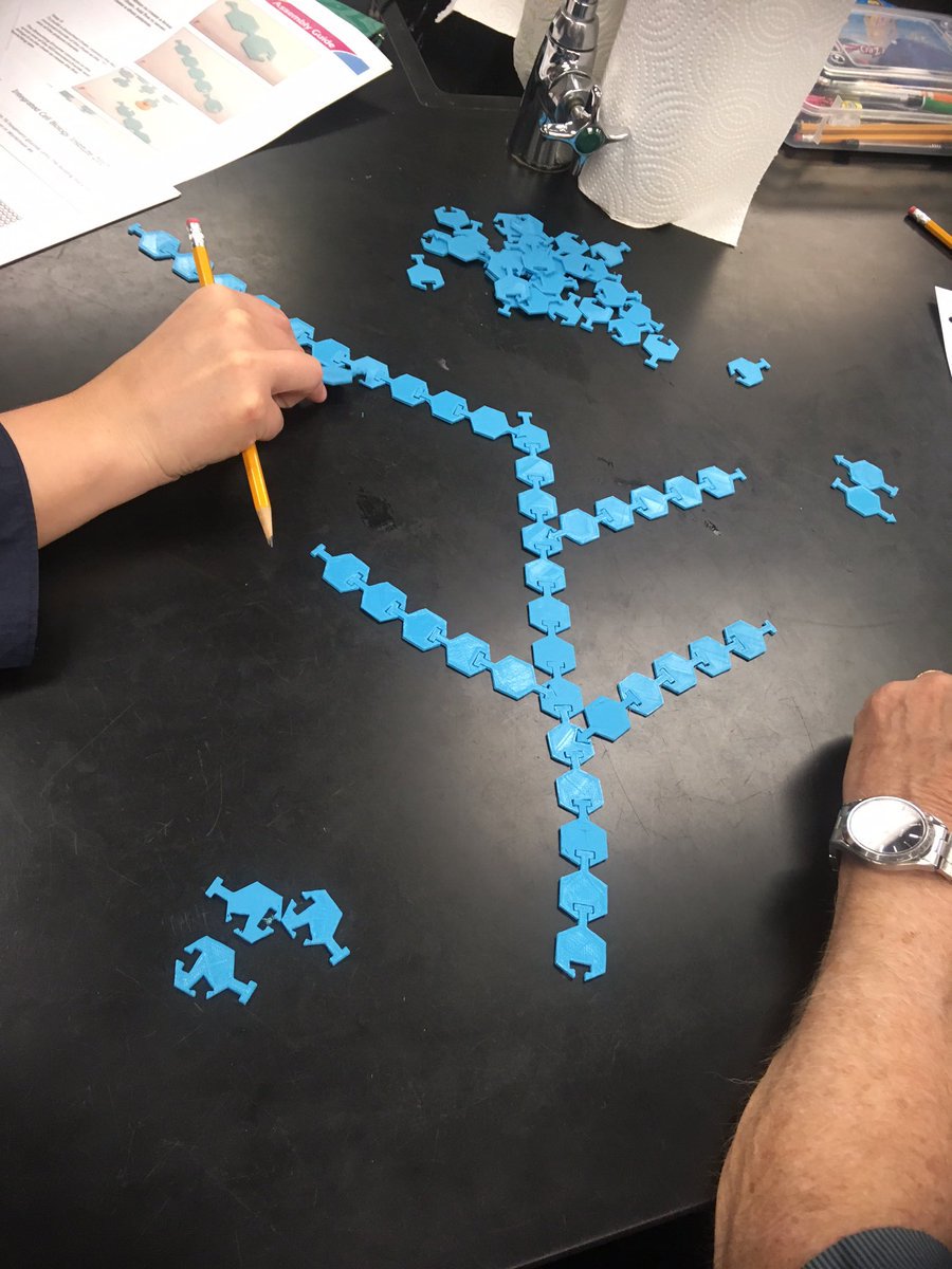 mimioSTEM's tweet image. Assemble into #linearchain carbons with eight additional #carbons that allow branching to explore a variety of #carbohydrates structures.  
#macromolecule #biology #enzyme #chemistry #3DSTEM