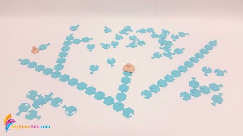 mimioSTEM's tweet image. Assemble into #linearchain carbons with eight additional #carbons that allow branching to explore a variety of #carbohydrates structures.  
#macromolecule #biology #enzyme #chemistry #3DSTEM