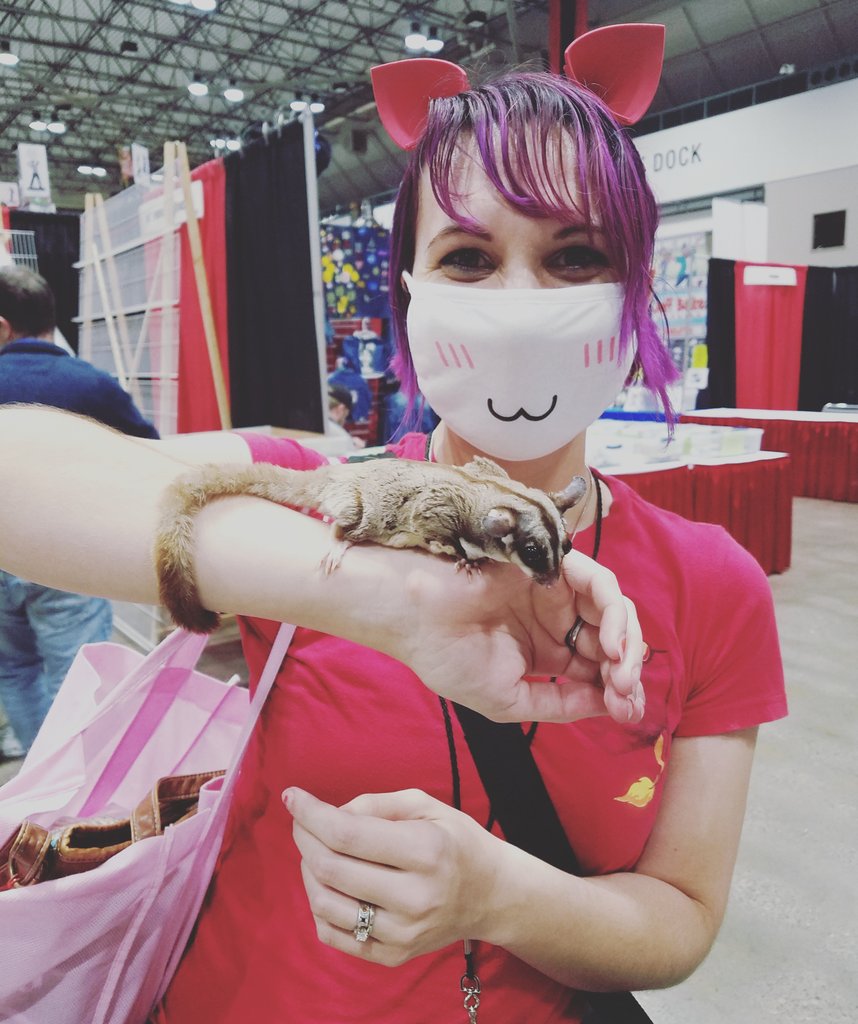 DorkyDinoGifts's tweet photo. I got to hold a sugar glider at @KCComicCon! It was so sweet! #kccc #kccc2017 #sugarglider https://t.co/0WlVXAENKh