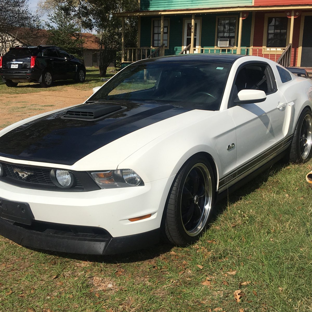 KleinMotorCo's tweet image. For Sale: 2012 Ford Mustang
.
.
.
#forsale #fordmustang #mach1mustang #fordmustangs