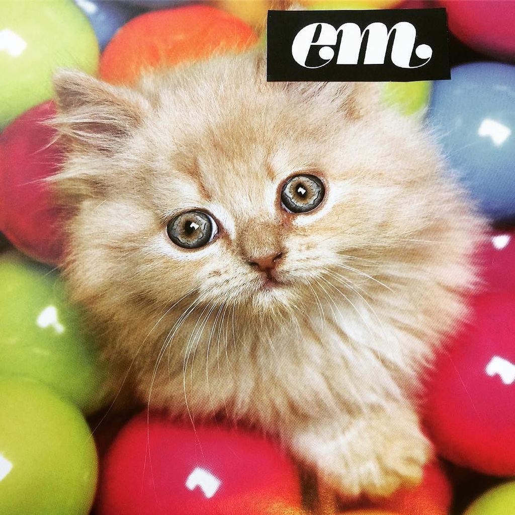 Dearem_nz's tweet photo. It’s seh easy to freak out and think I MUST #STUDY AND ONLY STUDY. Buuut your brain can only focus in 40 minute st… https://t.co/39XKecj1mN https://t.co/qAmhWrknSX