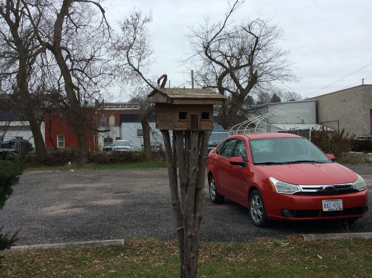 MrsSarahCassidy's tweet image. Ss noticed all the animals in our community. Also wondered how that squirrel got on the wire, balanced on it, a didn’t get shocked!? #TravelingTuesday @alcdsb_cart @ALCDSB