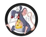 lottoactivo79's tweet photo. Lotto acitvo aciertos de hoy martes:
*jirafa 35✅
*alacran 04✅
*ratón 08✅
De 8-3 señores👍👍👍 https://t.co/6hhzsrwynA