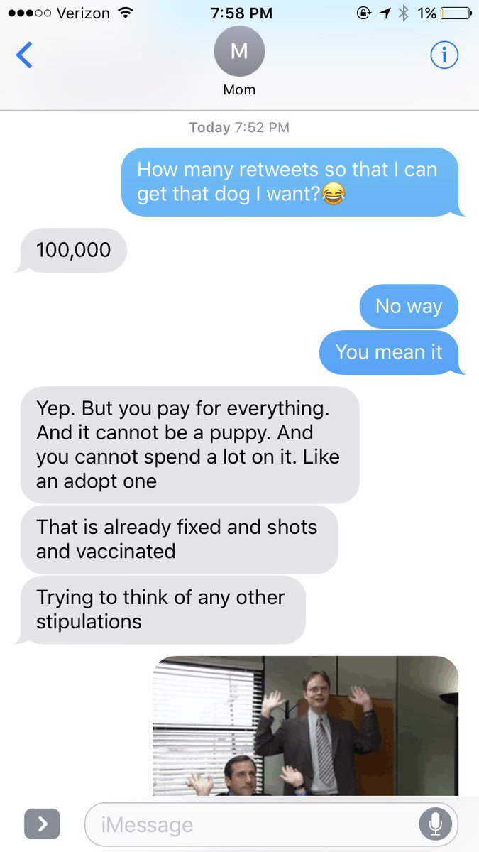 jaydenclairee's tweet photo. Everyone please please RT this so I can go get the cutest Aussie doodle in the world that's at the pound.😩😩❤️ I've been begging Mom for weeks and this is the closest we have gotten so figured it was worth a shot:) https://t.co/NzHsTEnLpo