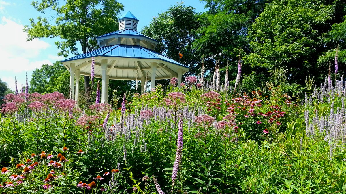 #monarch  waystation I designed for <a href="/MonarchWashCo/">The Monarch Alliance</a> was approved as a Habitat Success Story by <a href="/MonarchsJV/">MonarchJointVenture</a>. 
monarchjointventure.org/success-storie…