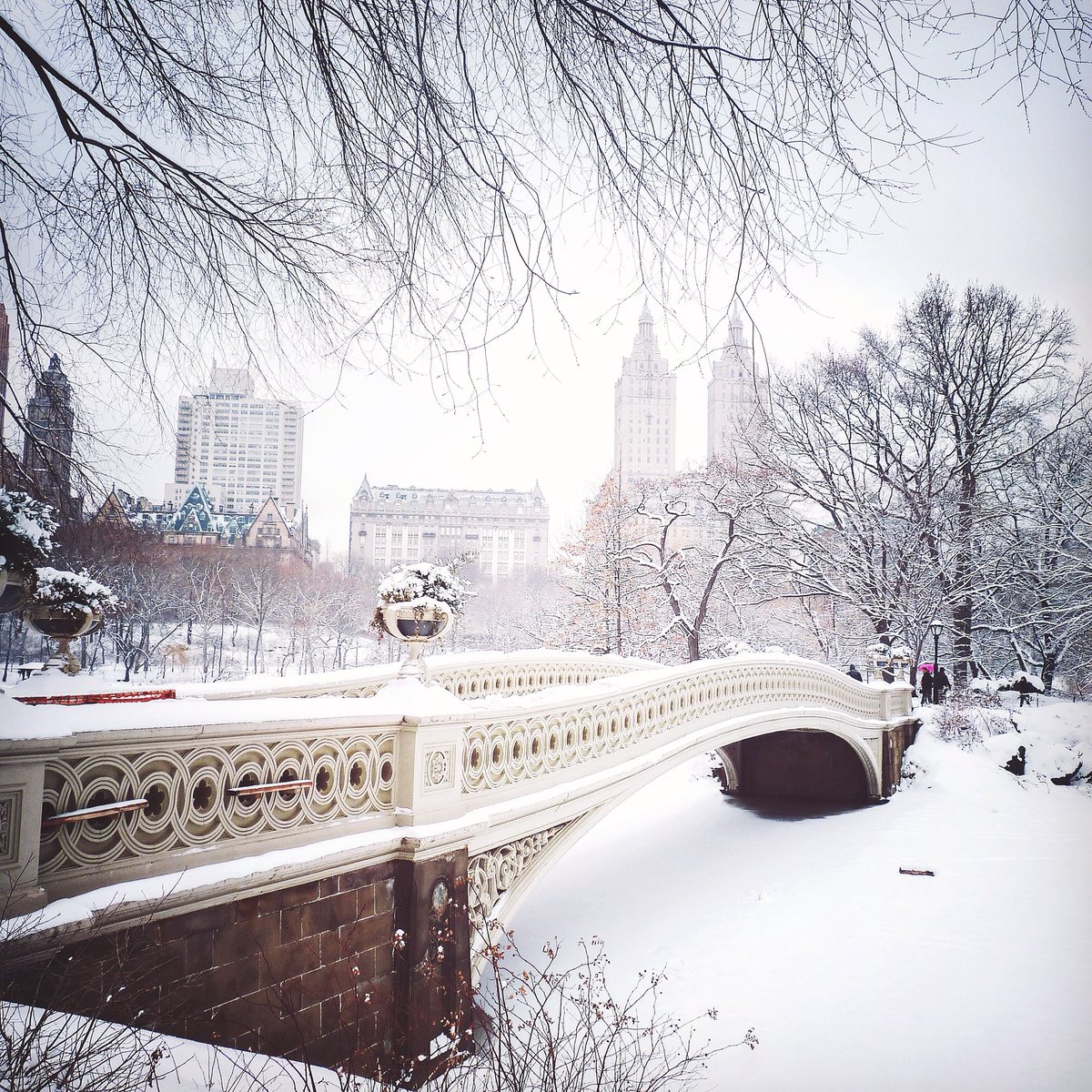 New York City, Central Park

📷 (+ words) instagram.com/p/Bbf5o9PFYv3/

☃️

#nyc #Archillect #newyork #artistsontwitter #ArtisticTuesday