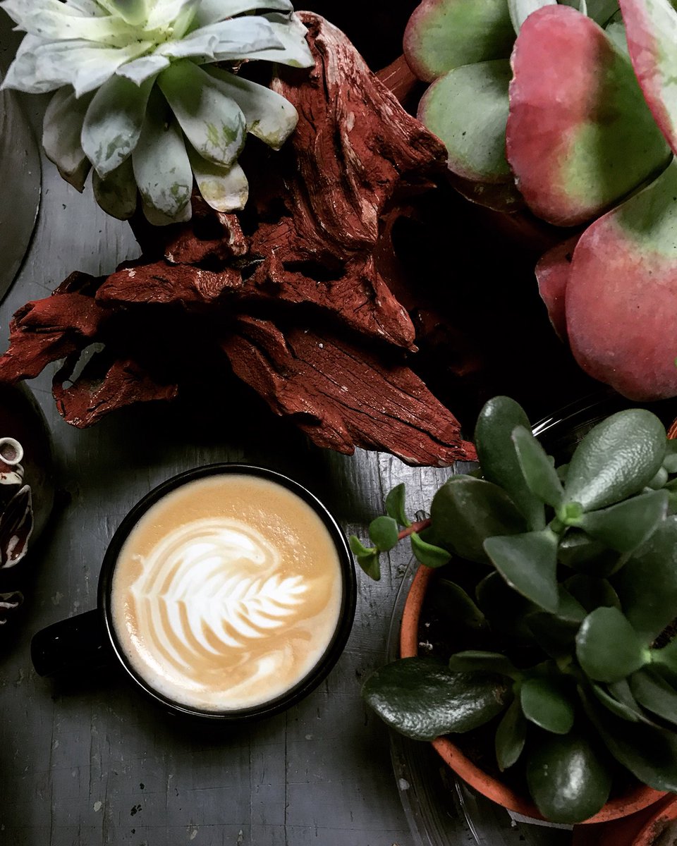 getfreshcoffee's tweet photo. It’s a good day for a latte. ☕️ #freshmarketcoffee https://t.co/4mc9lDgDXe