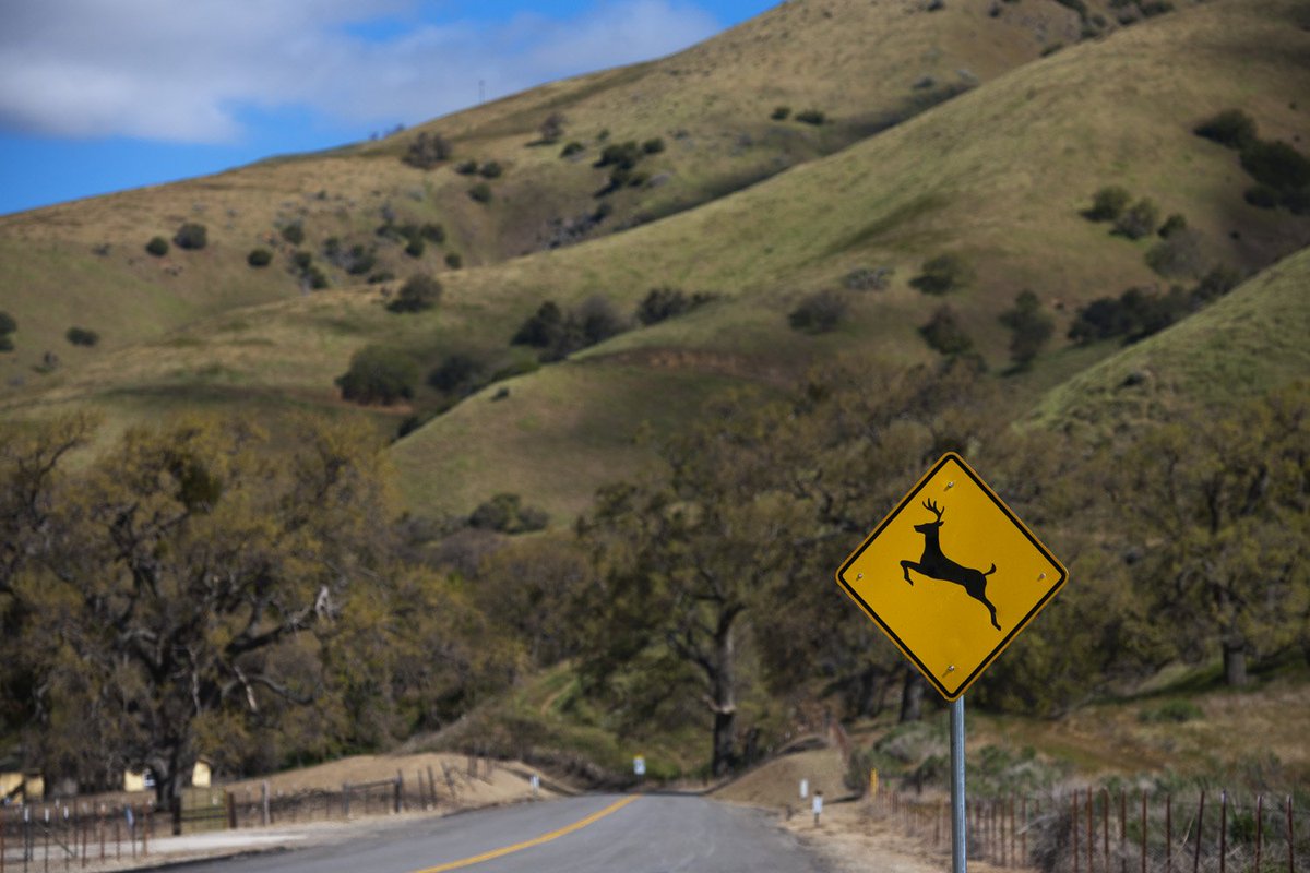 tejonranch's tweet photo. Relax, grab a bite, refuel &amp; do some shopping for #TravelTuesday. From the award-winning #Outletsattejon, to @innoutburger, @Starbucks &amp; a new hotel coming soon, we’re the perfect stop-off on your way. #Traveltuesday https://t.co/lDloSQlKA8