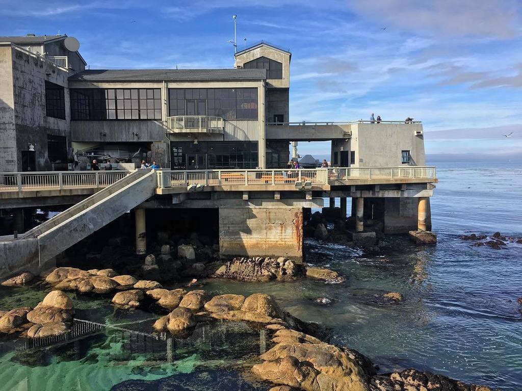 santacruzlife's tweet photo. Mark your calendar: Enjoy free admission to @montereybayaquarium December 2-10! Just show valid ID if you're a res… https://t.co/hHrOd7CBoC https://t.co/WRQd9xAdwd
