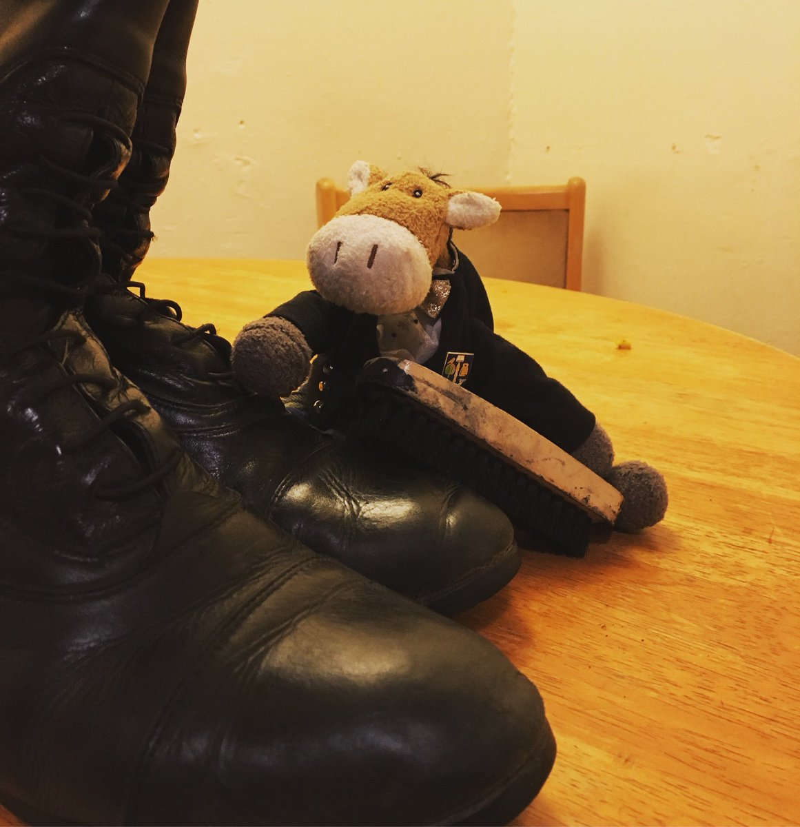 GUSAriding's tweet image. GUSAberry is very excited to be back out support his BUCS teams tomorrow🐴. So much so he’s been helping clean boots! He’ll be in Edinburgh tomorrow morning and thennback to Glasgow to support B team! Fingers crossed he’s packed his lucky kilt 🍀 #gurc #gusaberryadventures