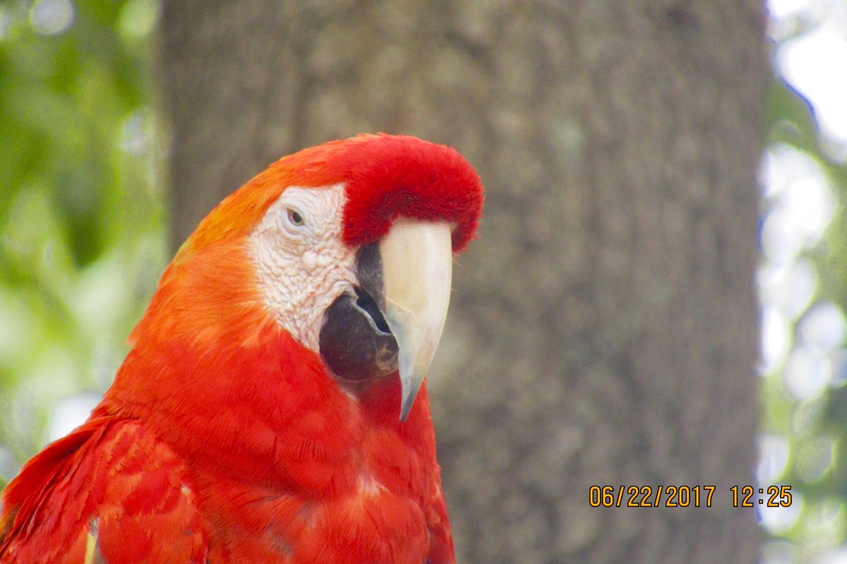 Caroline Huffman tweet media