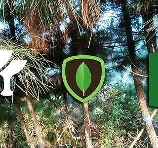 djamware's tweet photo. https://t.co/RyrLrqsxij #howto #export #data #excel #file #grails #grails3 #mongodb https://t.co/HJZgufAwuw